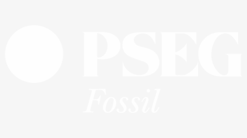 Fossil Png, Transparent Png, Free Download