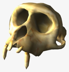 Colossal Fossil 2 - Skull, HD Png Download, Free Download