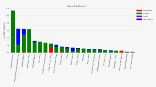 Cbioportalcancersummary - Levels Of Education In University, HD Png Download, Free Download