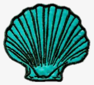 #tumblr #mermaid #marine - Transparent Seashell, HD Png Download, Free Download