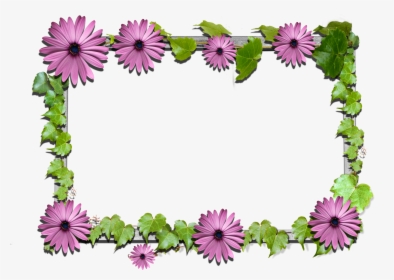 Clip Art Flower Frames Clipart - Flower Frame Png Clipart, Transparent Png, Free Download