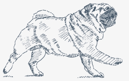Ancient Dog Breeds, HD Png Download, Free Download