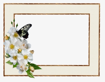 Frame, Border, White Rose, Butterfly, Decorative - Positive Thursday Blessing Quotes, HD Png Download, Free Download