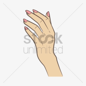 Female Hand Vector Png, Transparent Png, Free Download