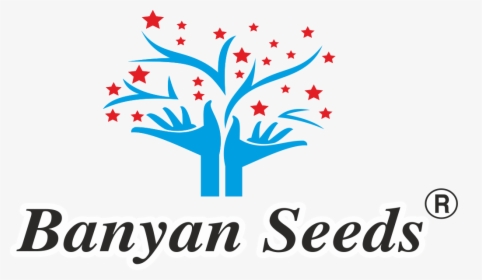 Banyan Seeds, HD Png Download, Free Download