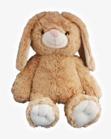 Teddy Mountain Bunny, HD Png Download, Free Download
