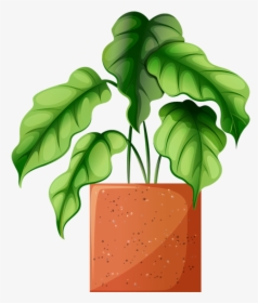 Potted Plants Clipart Flowering Plant - Plants In Pot Drawings, HD Png Download, Free Download