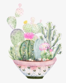 Hand-painted A Large Plate Of Plants Png Transparent - Cacti Png Images With Transparent Background, Png Download, Free Download