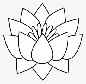 Lotus Flower Clipart - White Lotus Flower Art, HD Png Download, Free Download