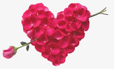 Rose Heart And Arrow - Rose Flower Buke Hd, HD Png Download, Free Download
