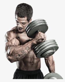About1 - Gym Workout Png, Transparent Png, Free Download