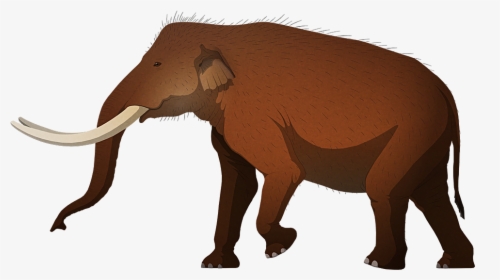 Stegolophodon Pseudolatidens Stegodon Aurorae - Stegolophodon Silhouette, HD Png Download, Free Download