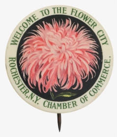 Welcome To The Flower City Event Button Museum - United States Department Of Labor Seal, HD Png Download, Free Download