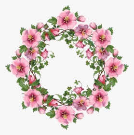 Scrapbook Images, Flower Frame, Flower Art, Flower, HD Png Download, Free Download