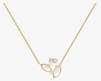 Atena Gold Necklace - Jennifer Fisher Necklace, HD Png Download, Free Download