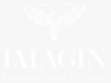 Imagin Logo - Logo Https Piedepagina Mx, HD Png Download, Free Download
