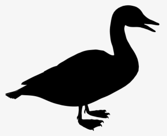 Duck Black & White - Siluet Bebek, HD Png Download, Free Download