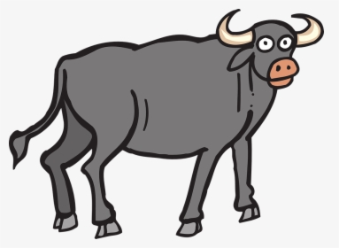 Ox Clip Free - Buffalo Clipart, HD Png Download, Free Download