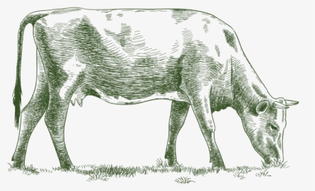 Etchanimal Cow 01 - Dairy Cow, HD Png Download, Free Download