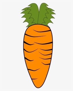 Carrot Vegetables Orange Free Photo - Carrot Clipart, HD Png Download, Free Download