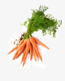 Transparent Basket Carrots Png, Png Download, Free Download