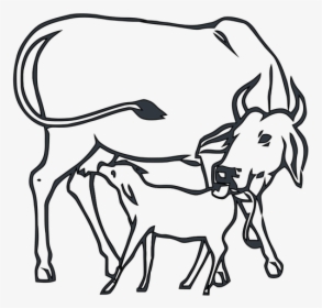 Drawing Cow With Calf, HD Png Download, Free Download
