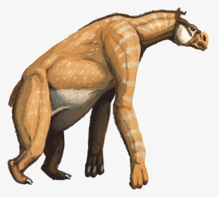 File - Chalicotheriumdb1 - Animal Evolution, HD Png Download, Free Download