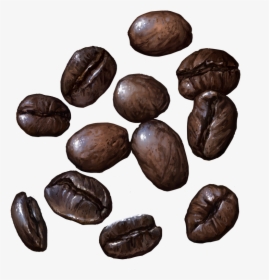 Coffee - Bushfood, HD Png Download, Free Download