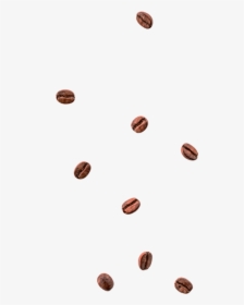 Cafe - Chocolate, HD Png Download, Free Download