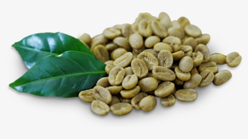 Green Coffee Beans Png, Transparent Png, Free Download