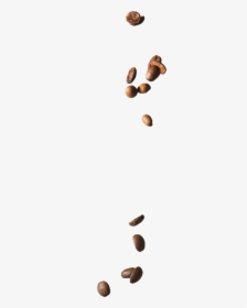 Falling Coffee Beans Png, Transparent Png, Free Download