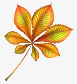 Orange Leaf Beautiful Autumn Clipart Image Transparent - Beautiful Leaf Clip Art, HD Png Download, Free Download