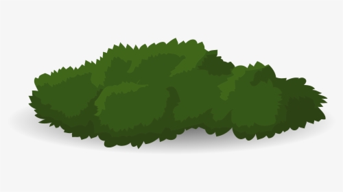 Tree Shrub Drawing - Bush Drawing Png, Transparent Png, Free Download