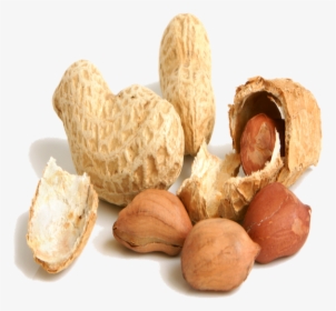 Transparent Background Groundnut Png, Png Download, Free Download
