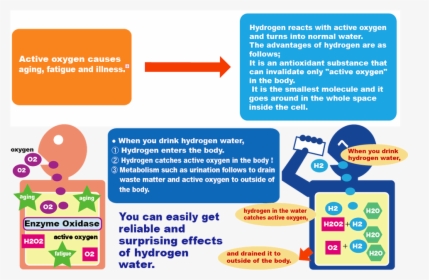 Terahertz Hydrogen Water Stick, HD Png Download, Free Download