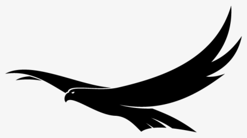 Bird Flying Png Clipart, Transparent Png, Free Download