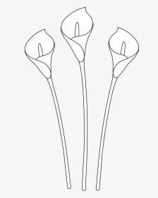 Spoon Clipart Drawing - Calla Lily Drawing Easy, HD Png Download, Free Download