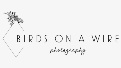 Photography Quotes Png, Transparent Png, Free Download