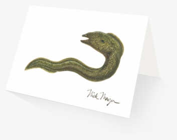 Moray Eel - Serpent, HD Png Download, Free Download