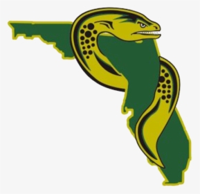 Florida Eels Hockey Logo, HD Png Download, Free Download