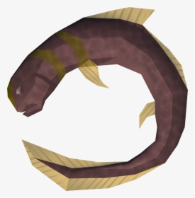 Runescape Eel, HD Png Download, Free Download
