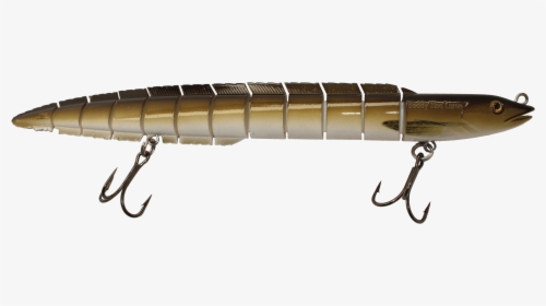 Eel Png, Transparent Png, Free Download
