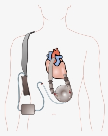 Devices Png, Transparent Png, Free Download