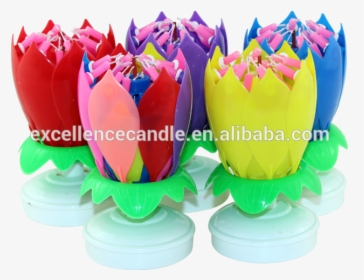 Lotus Music Candles Pink Flowers - Birthday, HD Png Download, Free Download