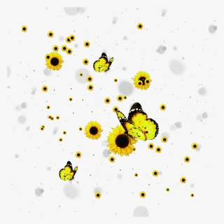 #sunflowers #butterflys #butterfly #flowers #falling - Aesthetic Sunflower Transparent Background, HD Png Download, Free Download