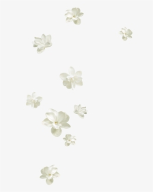 #mq #white #flowers #flower #garden #nature #falling - Jasmine, HD Png Download, Free Download