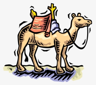 Vector Illustration Of Beast Of Burden Camel Dromedary - Camel Clip Art, HD Png Download, Free Download