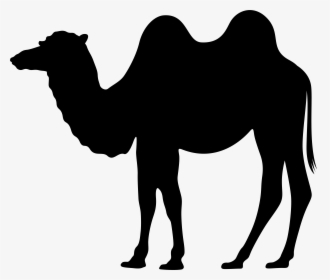 Clipart Walking Camel, HD Png Download, Free Download