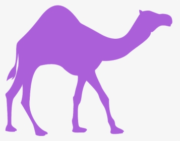 Silhouette Of Camel, HD Png Download, Free Download