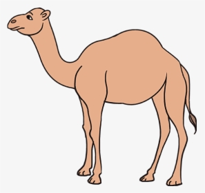 How To Draw A Camel - Simple Easy Camel Drawing, HD Png Download, Free Download